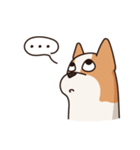 Playful Chihuahua II（個別スタンプ：19）