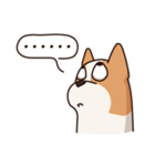 Playful Chihuahua II（個別スタンプ：20）