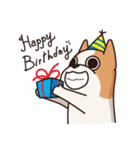 Playful Chihuahua II（個別スタンプ：21）