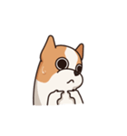 Playful Chihuahua II（個別スタンプ：22）