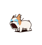 Playful Chihuahua II（個別スタンプ：24）