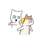 Playful Chihuahua II（個別スタンプ：29）
