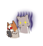 Playful Chihuahua II（個別スタンプ：31）