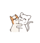 Playful Chihuahua II（個別スタンプ：39）