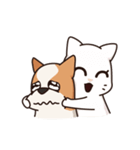 Playful Chihuahua II（個別スタンプ：40）
