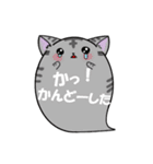 にゃんこ魂＊ねこたま＊（個別スタンプ：4）
