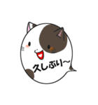 にゃんこ魂＊ねこたま＊（個別スタンプ：24）