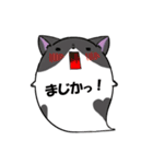 にゃんこ魂＊ねこたま＊（個別スタンプ：37）