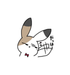 さんしょくうさぎさん。（個別スタンプ：3）