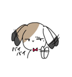 さんしょくうさぎさん。（個別スタンプ：4）