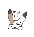 さんしょくうさぎさん。（個別スタンプ：6）
