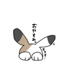 さんしょくうさぎさん。（個別スタンプ：7）