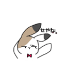 さんしょくうさぎさん。（個別スタンプ：11）