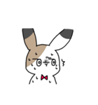 さんしょくうさぎさん。（個別スタンプ：12）