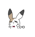 さんしょくうさぎさん。（個別スタンプ：13）