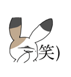 さんしょくうさぎさん。（個別スタンプ：14）