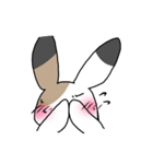 さんしょくうさぎさん。（個別スタンプ：16）