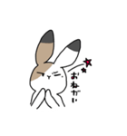 さんしょくうさぎさん。（個別スタンプ：19）