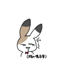 さんしょくうさぎさん。（個別スタンプ：25）