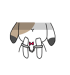 さんしょくうさぎさん。（個別スタンプ：38）