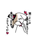 さんしょくうさぎさん。（個別スタンプ：39）