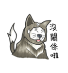 Akita dog Arnold（個別スタンプ：8）