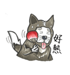 Akita dog Arnold（個別スタンプ：21）