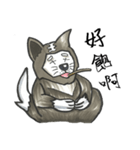 Akita dog Arnold（個別スタンプ：24）