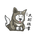 Akita dog Arnold（個別スタンプ：30）