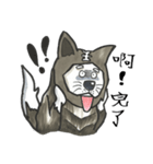 Akita dog Arnold（個別スタンプ：32）