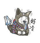 Akita dog Arnold（個別スタンプ：34）