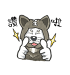 Akita dog Arnold（個別スタンプ：36）