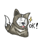 Akita dog Arnold（個別スタンプ：40）