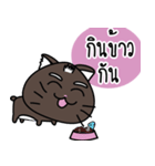 a cat is brown（個別スタンプ：5）