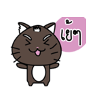 a cat is brown（個別スタンプ：11）
