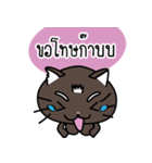 a cat is brown（個別スタンプ：12）