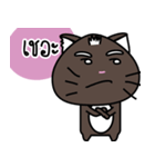 a cat is brown（個別スタンプ：13）