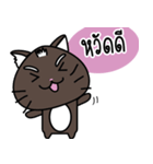 a cat is brown（個別スタンプ：17）