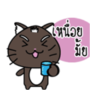 a cat is brown（個別スタンプ：24）