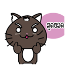 a cat is brown（個別スタンプ：36）