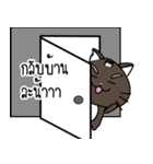 a cat is brown（個別スタンプ：39）