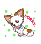 Shiro : A Canny Chihuahua（個別スタンプ：2）