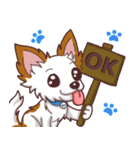 Shiro : A Canny Chihuahua（個別スタンプ：7）