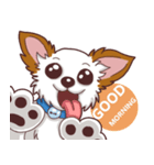 Shiro : A Canny Chihuahua（個別スタンプ：8）