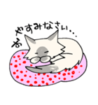 タヌキみたいなネコのぽんちゃん（個別スタンプ：30）