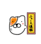 あの時のハムねこ（個別スタンプ：24）