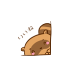 Cute Baby Raccoon（個別スタンプ：4）