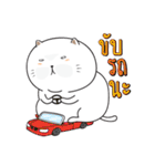 Sumo Fat Cat（個別スタンプ：16）