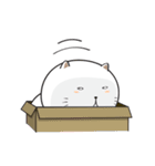 Sumo Fat Cat（個別スタンプ：36）