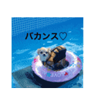 ちょもここ（個別スタンプ：20）